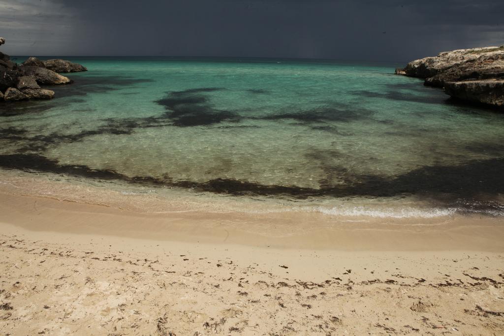 مبيت وإفطار مونوبولي Playa Del Mar - Adults Only المظهر الخارجي الصورة