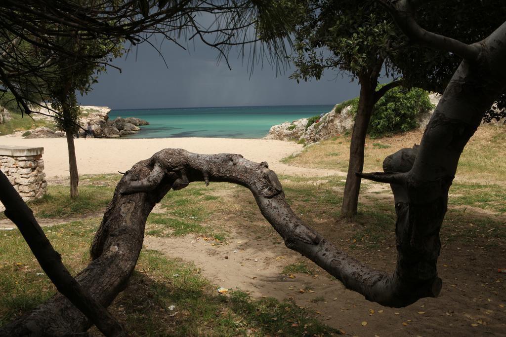 مبيت وإفطار مونوبولي Playa Del Mar - Adults Only المظهر الخارجي الصورة
