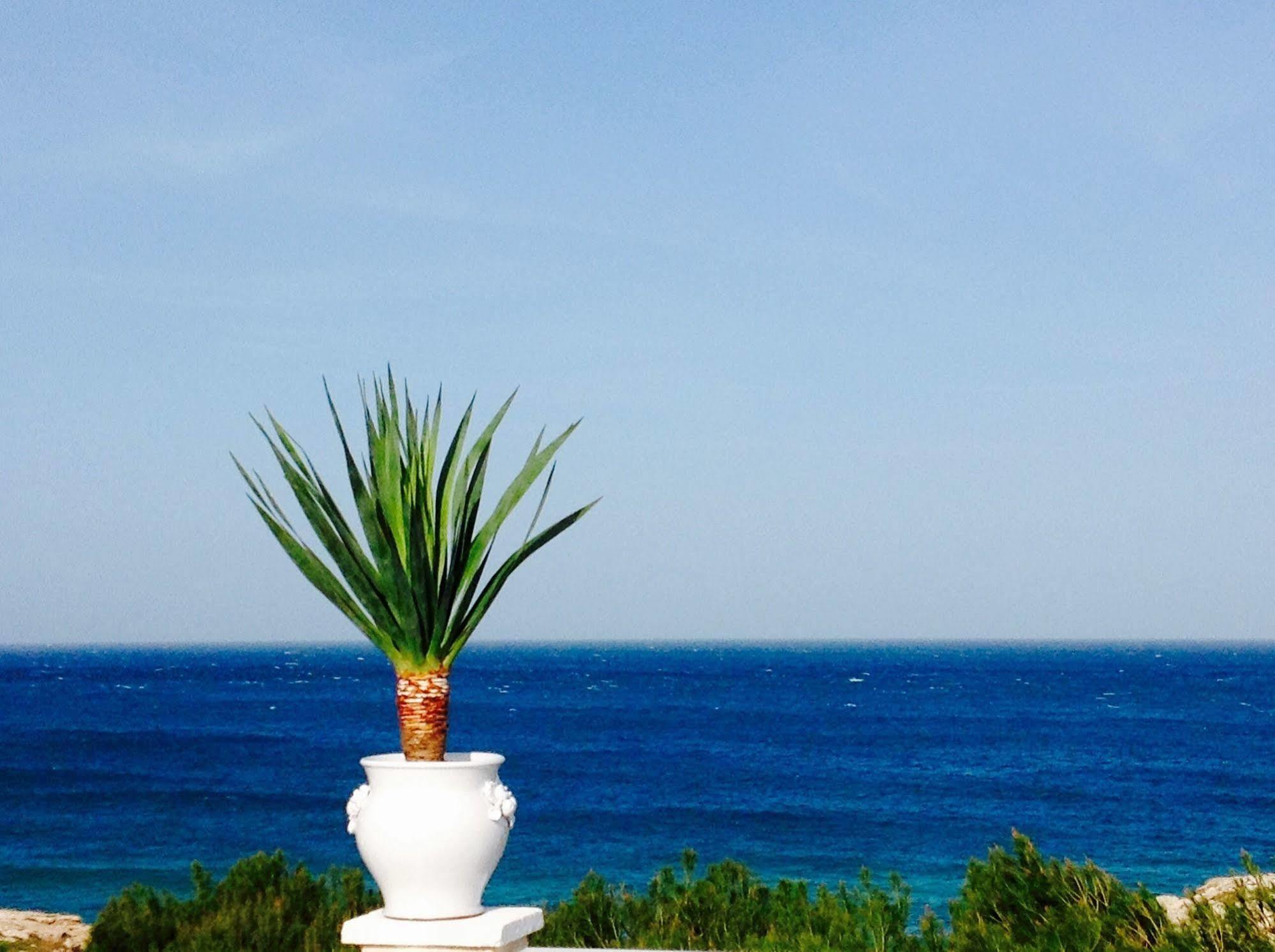 مبيت وإفطار مونوبولي Playa Del Mar - Adults Only المظهر الخارجي الصورة